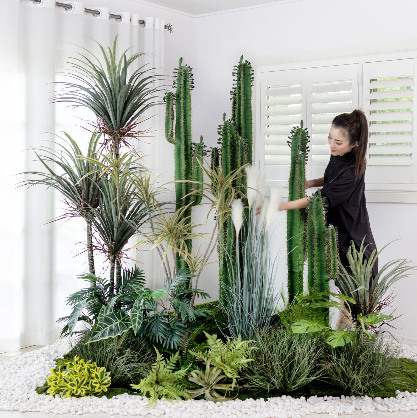 desert cactus house plants Interior landscaping Package C · Interior Garden · Desert Cactus – ECOTREE AU
