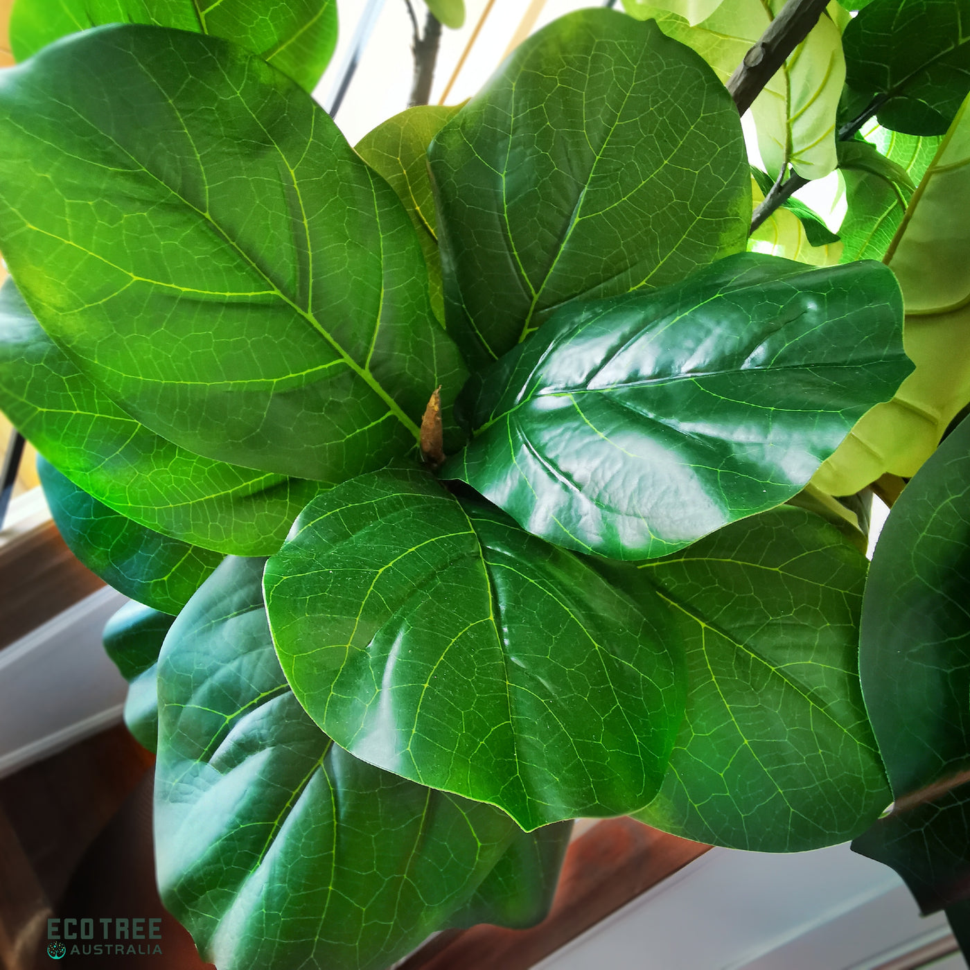 real touch fiddle leaf fig Real-touch Premium Artificial Giant Fiddle Fig Tree - Single Trunk 240 – ECOTREE AU