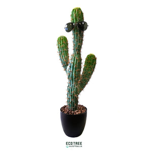 Premium Artificial Aloha Desert Cactus - 80cm