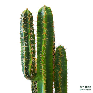 Lifelike Artificial San Pedro Cactus 110cm