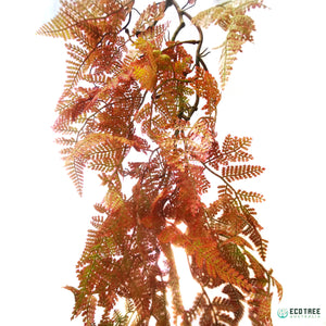 Asparagus Lace Fern Autumn Red/Lifelike Trailing Hanging Vine Foliage 90cm