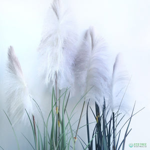 200CM Giant Fox Tail Faux Pampas Reed Grass Plants-2 Colours