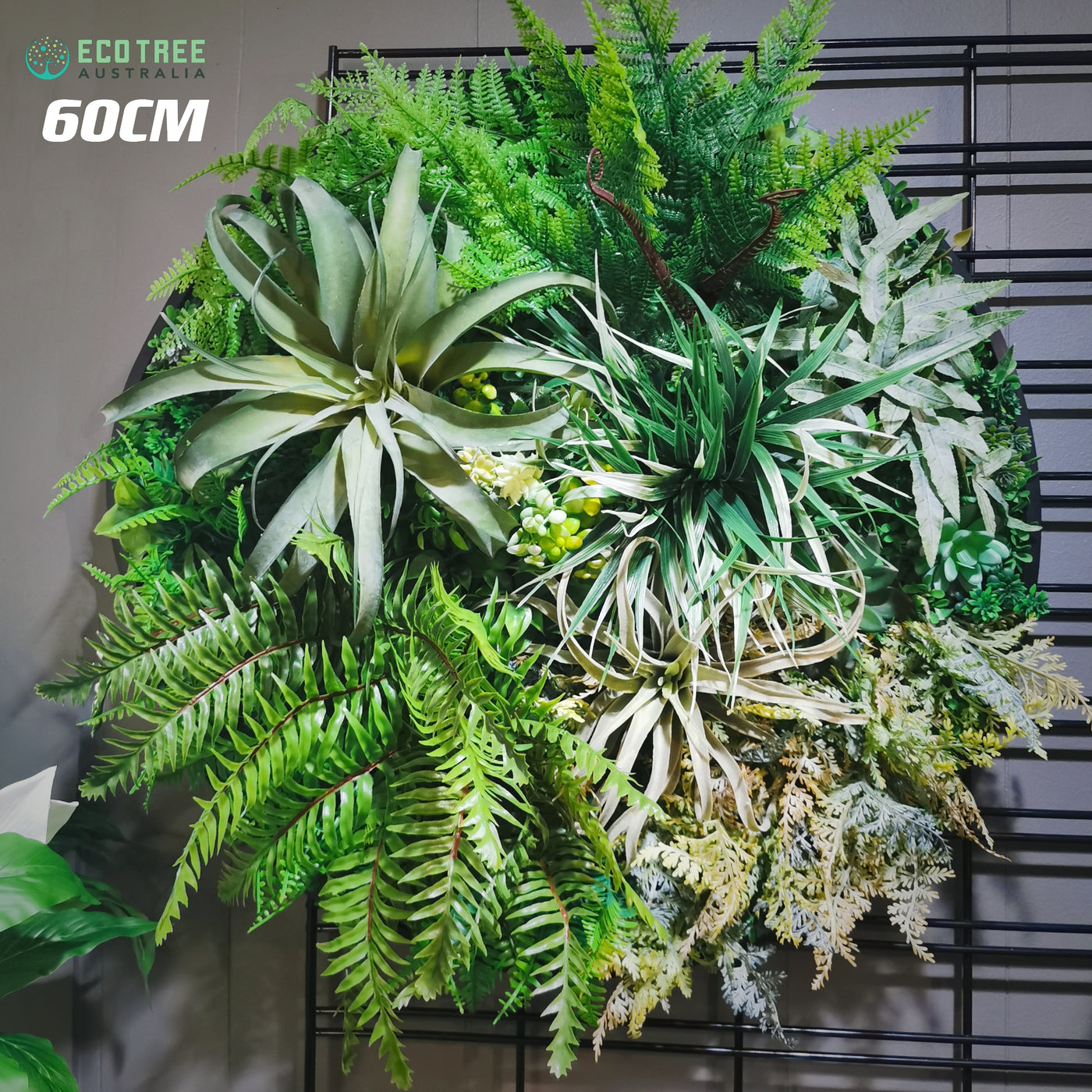 air plant vertical garden Deluxe Artificial Tillandsia (Air Plant) Succulents Vertical Garden Di – ECOTREE AU