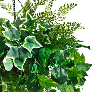 Evergreen Hanging Plants Arrangement·Mixed Ivy Lush Hanging Basket