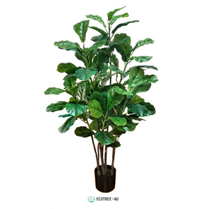 100 Leaves Lush Evergreen Fiddle Fig Tree 140CM