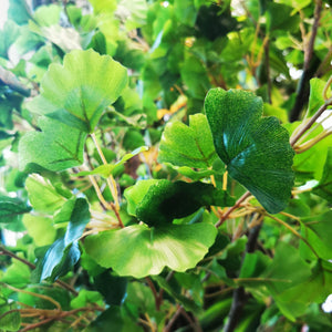 Premium Artificial Ginko Tree-Golden Ginko-Green Ginko-180cm