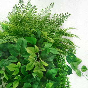 Evergreen Hanging Plants Arrangement·Mixed Ivy Lush Hanging Basket