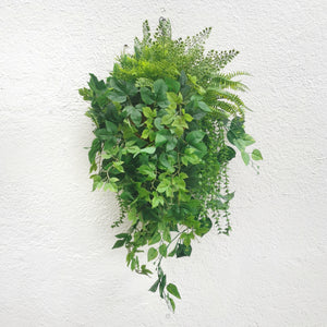 Evergreen Hanging Plants Arrangement·Mixed Ivy Lush Hanging Basket