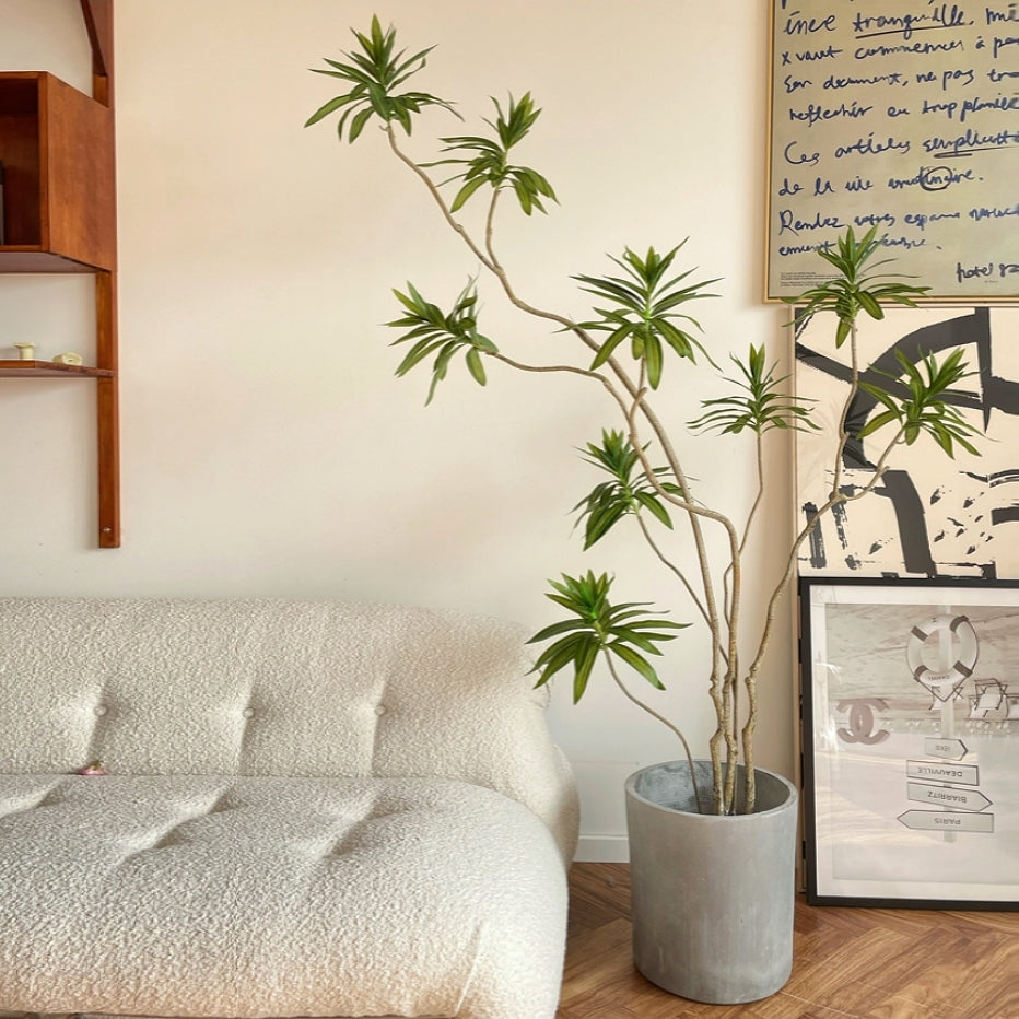 song of jamaica plant indoor Lifelike Elegant Artificial Dracaena Reflexa (Song of Jamaica) Multi-Trunks  170cm | Ecotree AU – ECOTREE AU