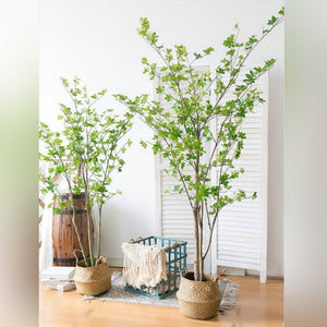 Elegant Artificial Japanese Zen Leaf Plant·Snow Bell Tree - 2 Trunks 150cm