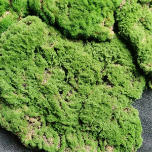 Evergreen Moss·Lifelike Artificial Bryophytes Moss Grass Mat· Interior Landscaping Feature Decoration 100*100cm