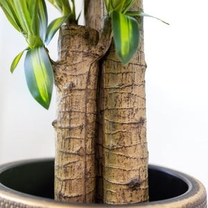 Designer Choice•Plant & Pot Set B-Elite-Palm & Happy Plant with Extra 6 Tabletop•Hanging Plants