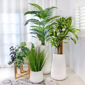 Designer Choice•Plant & Pot Set B-Elite-Palm & Happy Plant with Extra 6 Tabletop•Hanging Plants