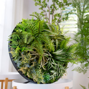 Designer Choice•Plant & Pot Set C-Zen Garden with Signature Vertical Garden Disc 60cm/80cm