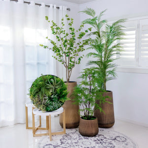 Designer Choice•Plant & Pot Set C-Zen Garden with Signature Vertical Garden Disc 60cm/80cm