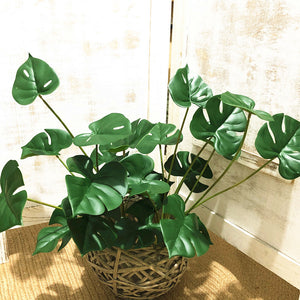 Super-Real Artificial Monstera Plant with Roots