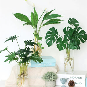 Super-Real Artificial Philodendron Xanadu Plant with Roots