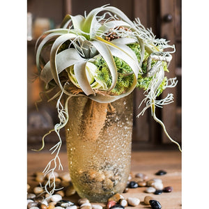 Elegant AirPlant-Premium Artificial Succulents-Frosty Green Tillandsia