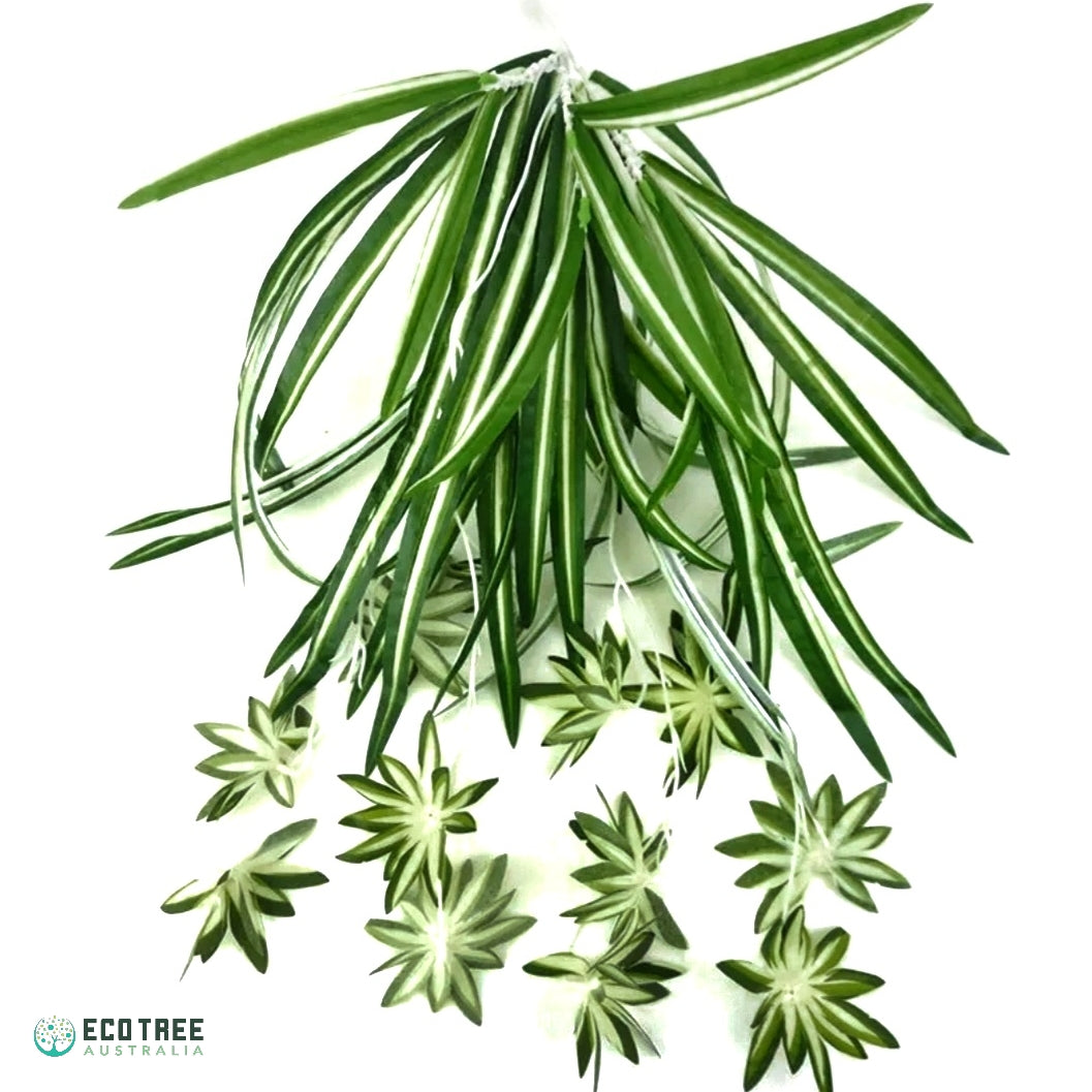 silk spider plants for sale 2*PCS Artificial Silk Spider Plants·Chlorophytum Hanging Plants Vines – ECOTREE AU