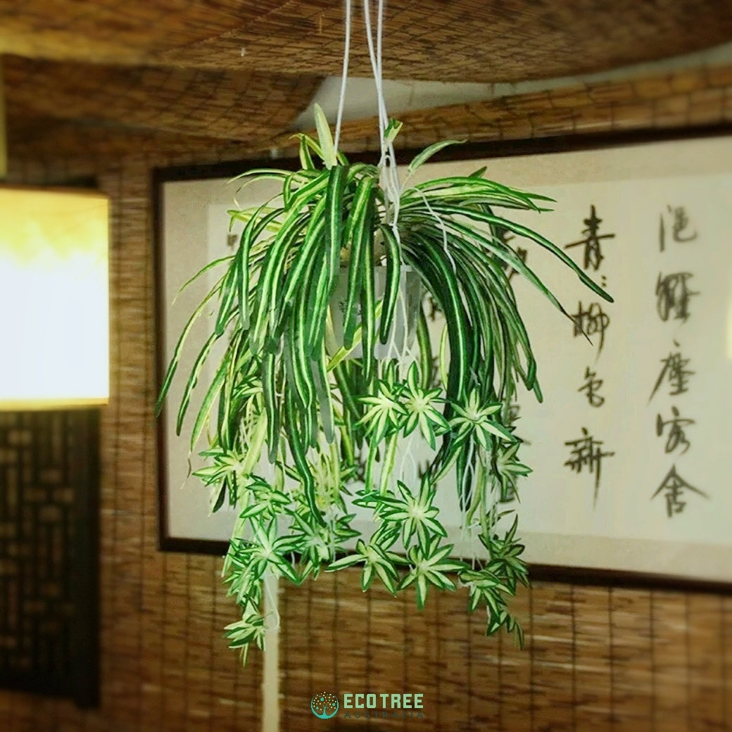 artificial spider plant hanging 2*PCS Artificial Silk Spider Plants·Chlorophytum Hanging Plants Vines – ECOTREE AU