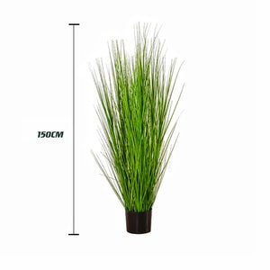90cm/150cm Evergreen Faux Spring Coastal Reed Grass-Potted