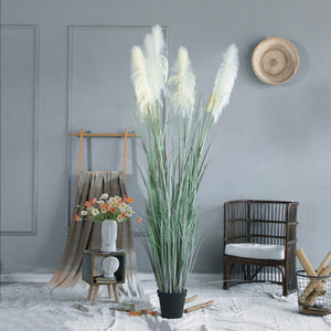 200CM Giant Fox Tail Faux Pampas Reed Grass Plants-2 Colours