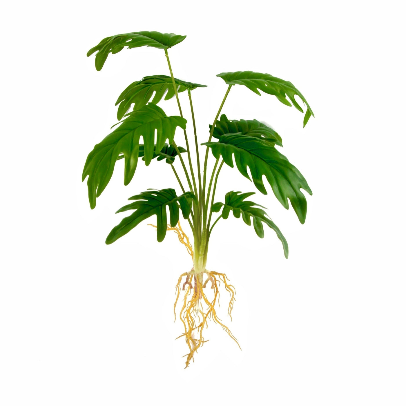 philodendron xanadu roots Super-Real Artificial Philodendron Xanadu Plant with Roots – ECOTREE AU