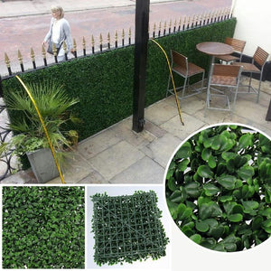 Classic Boxwood Hedge Panel/Premium Vertical Garden Wall UV Stabilised 100x100cm