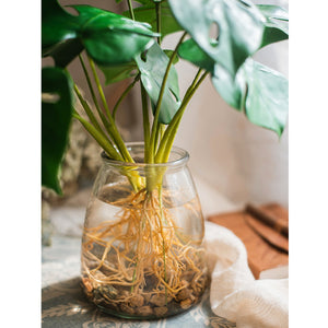 Super-Real Artificial Monstera Plant with Roots