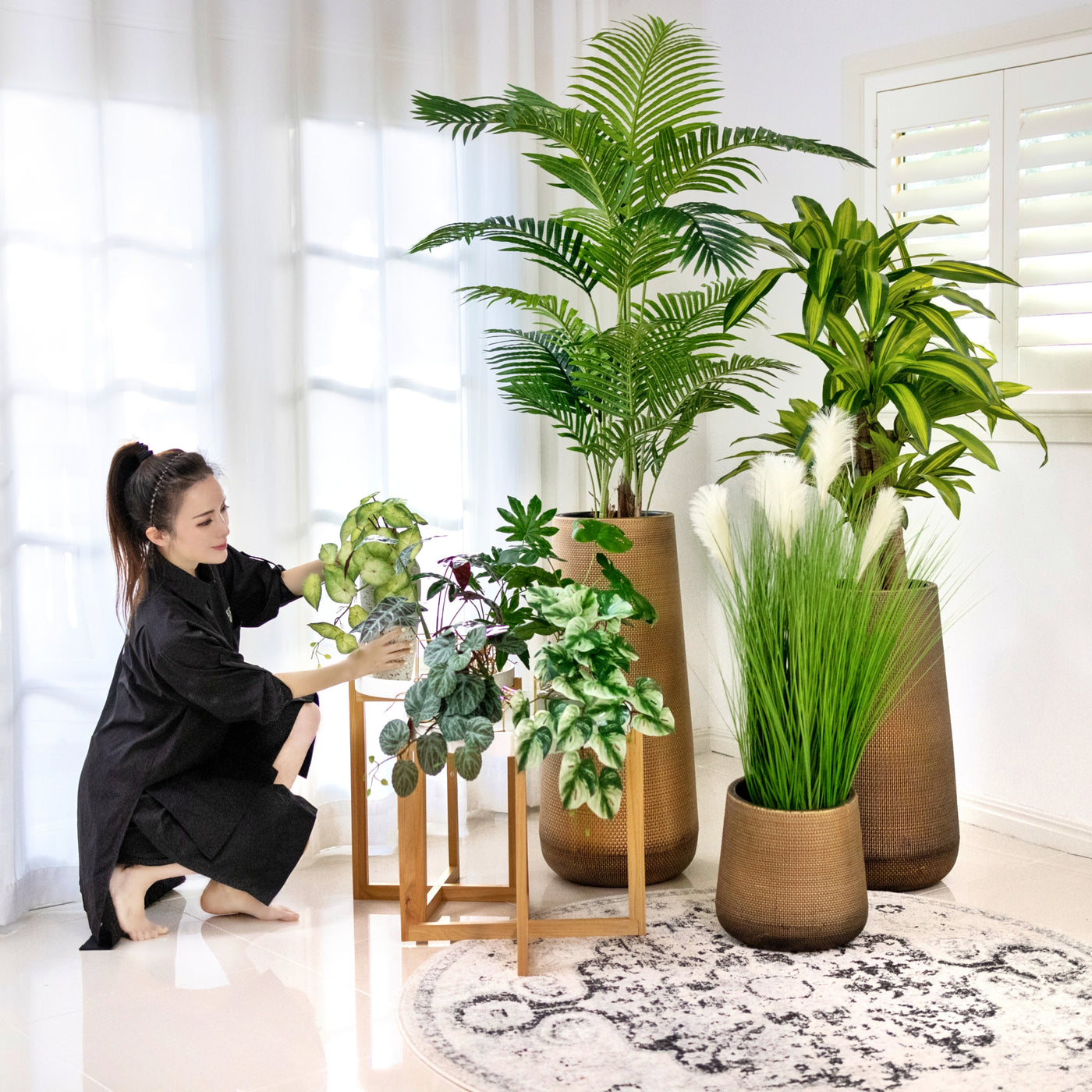 happy palm plant Designer Choice•Plant & Pot Set B-Elite-Palm & Happy Plant with Extra 6 Tabletop•Hanging Plants