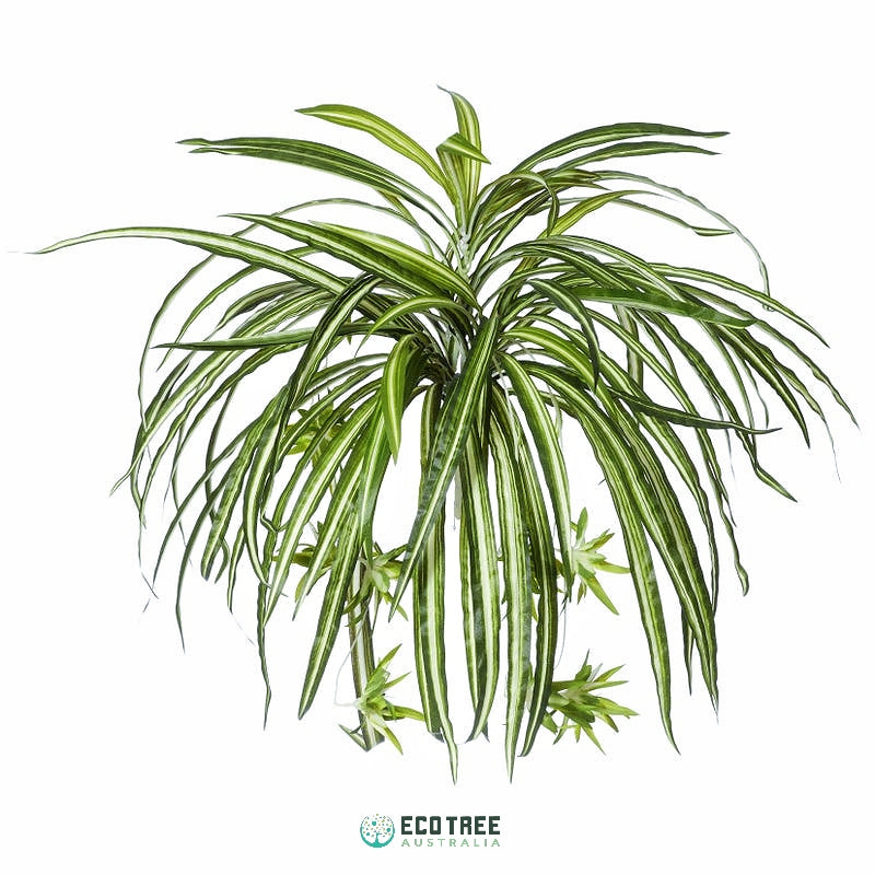 silk spider plants for sale 2*PCS Artificial Silk Spider Plants·Chlorophytum Hanging Plants Vines – ECOTREE AU